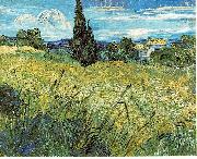 Vincent Van Gogh Green Wheat Field with Cypress oil painting reproduction
